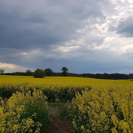 Ferienwohnung In Ostseenaehe Grevesmuehlen Zewnętrze zdjęcie