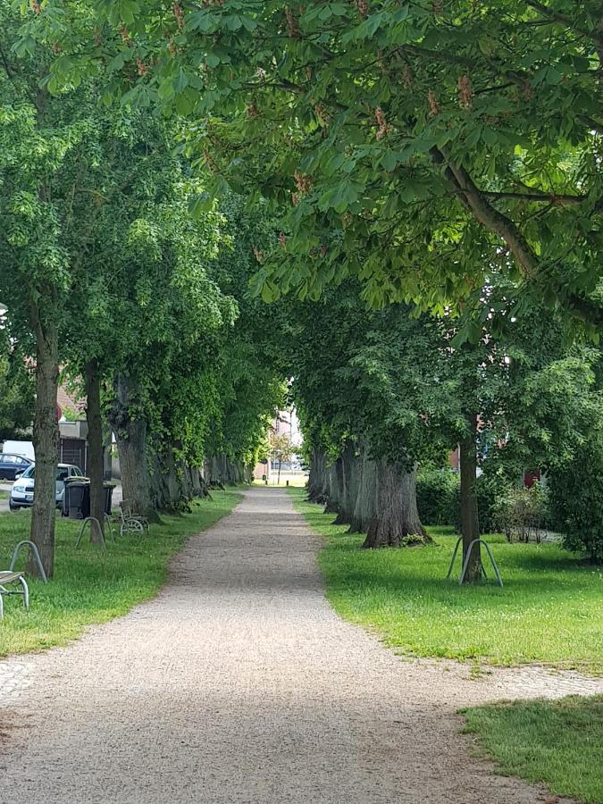 Ferienwohnung In Ostseenaehe Grevesmuehlen Zewnętrze zdjęcie