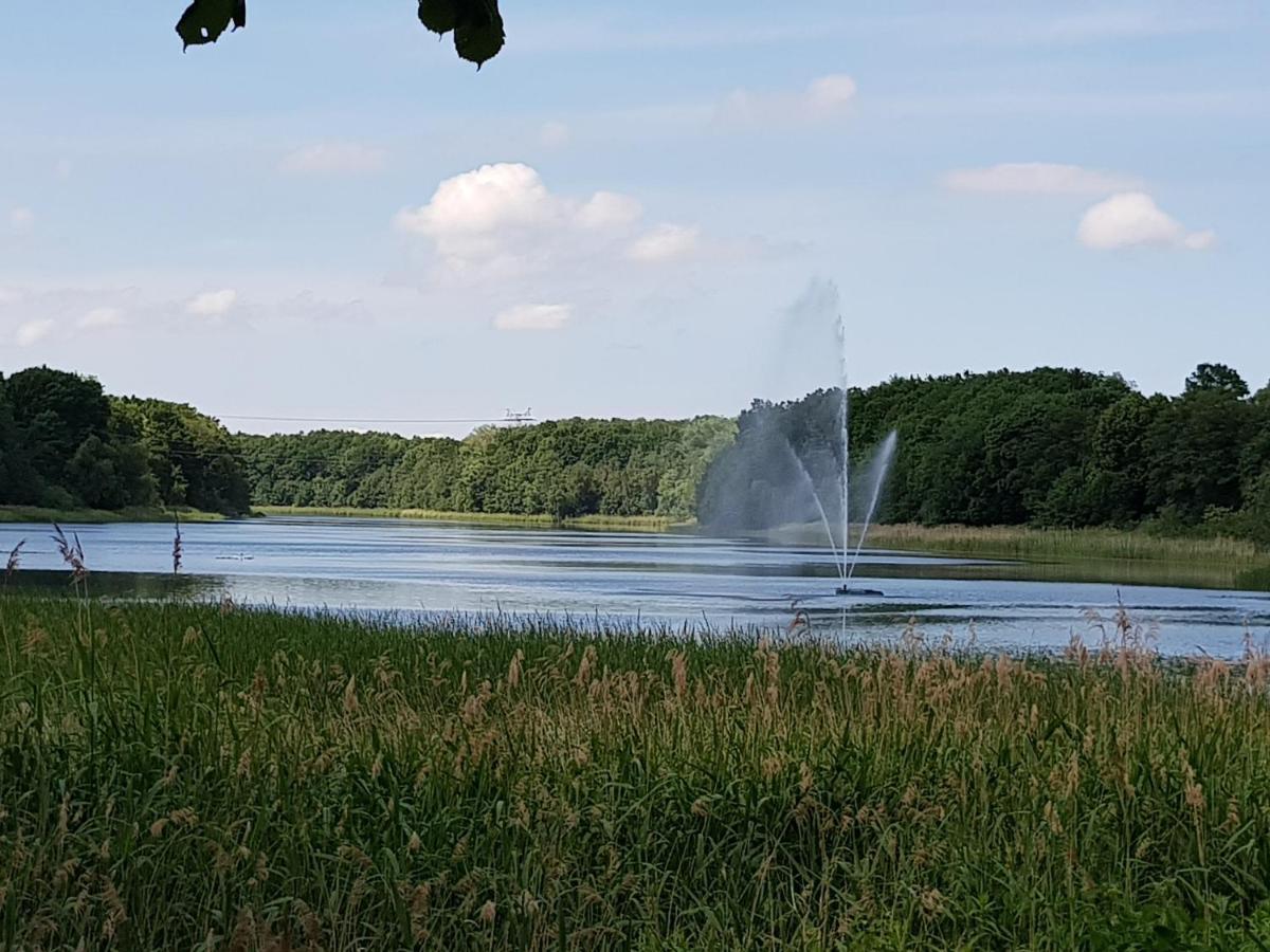 Ferienwohnung In Ostseenaehe Grevesmuehlen Zewnętrze zdjęcie